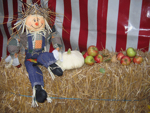 Kartoffelfest 2009 - Gute Laune im Festzelt vor der Waldgaststtte Diana Ruh - bei bestem Wetter